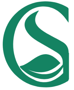GS Fórmula